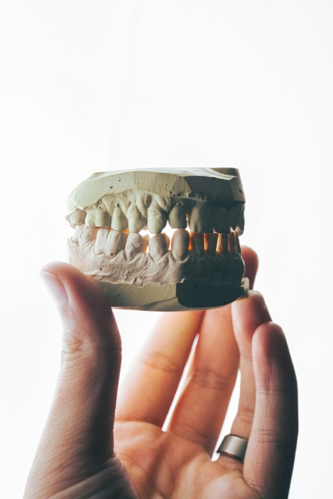 Person holding model of mouth